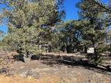 15842 Ponderosa Loop - Photo 17