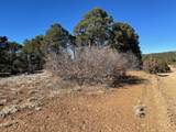 15842 Ponderosa Loop - Photo 4
