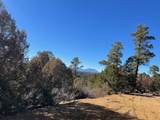 15842 Ponderosa Loop - Photo 5