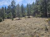 TBD Silver Spruce Circle - Photo 20