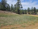 TBD Silver Spruce Circle - Photo 26