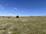 Lot 427 Patsy Cir - Photo 3