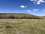 Lot 427 Patsy Cir - Photo 4