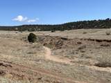 000 County Road 634 - Photo 19