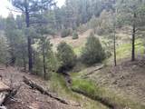 Lot G18 Santa Fe Trail Ranch - Photo 14