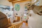 8221 Cuerna Verde Rd - Photo 17