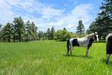 8221 Cuerna Verde Rd - Photo 46