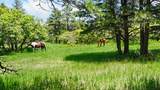 8221 Cuerna Verde Rd - Photo 47