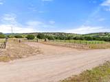 TBD Pickney Rd - Photo 16