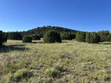 Tract B City Ranch Properties - Photo 12