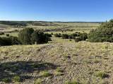 Tract B City Ranch Properties - Photo 13