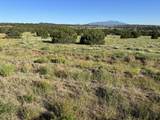 Tract B City Ranch Properties - Photo 16