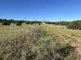 Tract B City Ranch Properties - Photo 21