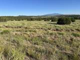 Tract B City Ranch Properties - Photo 23