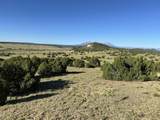 Tract B City Ranch Properties - Photo 3