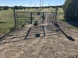 Tract B City Ranch Properties - Photo 7