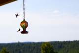 23560 Bighorn Drive - Photo 40