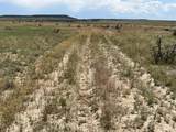 lot 4 Outback Ranch - Photo 3