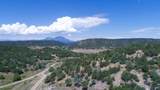 25850 River Pines Rd - Photo 53