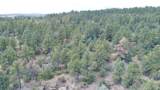 24225 County Rd 43.7 - Photo 50