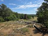 TBD Picketwire Rd - Photo 10