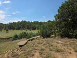 TBD Picketwire Rd - Photo 13