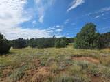 TBD Picketwire Rd - Photo 24