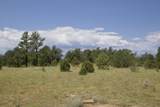 TBD Lark Bunting Lane/Cedar Rd - Photo 6