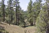 TBD Lark Bunting Lane/Cedar Rd - Photo 7