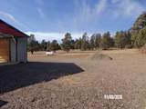 20106 Deer Path Circle - Photo 43