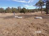 20106 Deer Path Circle - Photo 53
