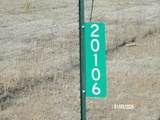 20106 Deer Path Circle - Photo 57