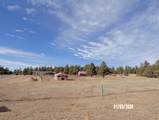 20106 Deer Path Circle - Photo 59