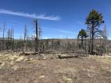 lot 542 Forbes Park - Photo 11