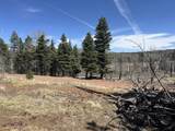 lot 542 Forbes Park - Photo 7