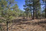 TBD Rancho La Garita Lot 1129 - Photo 1