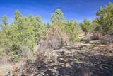 TBD Rancho La Garita Lot 1129 - Photo 13