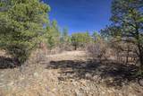 TBD Rancho La Garita Lot 1129 - Photo 14