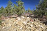 TBD Rancho La Garita Lot 1129 - Photo 16
