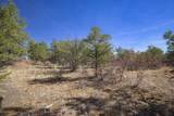 TBD Rancho La Garita Lot 1129 - Photo 18