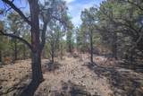 TBD Rancho La Garita Lot 1129 - Photo 19