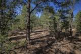 TBD Rancho La Garita Lot 1129 - Photo 20