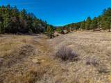 TBD Dude Canyon - Photo 17