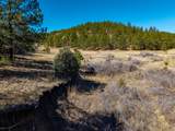 TBD Dude Canyon - Photo 18