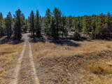 TBD Dude Canyon - Photo 19