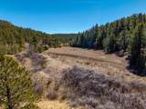 TBD Dude Canyon - Photo 22
