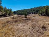 TBD Dude Canyon - Photo 26
