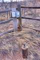 TBD Muleshoe Road - Photo 11