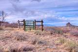 TBD Muleshoe Road - Photo 12