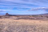 TBD Muleshoe Road - Photo 16